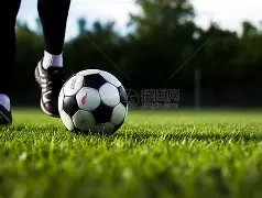 活塞与森林,狼再战高潮,迭起,世界杯买球,2026世界杯,足球投注,赛事分析,购彩技巧