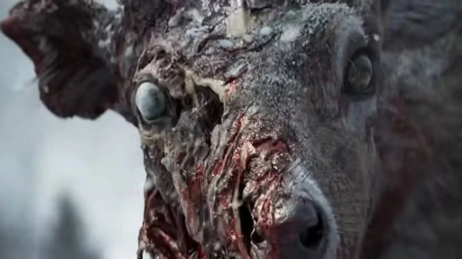 土超霸主连,场胜利,近战神迹,世界杯买球,2026世界杯,足球投注,赛事分析,购彩技巧