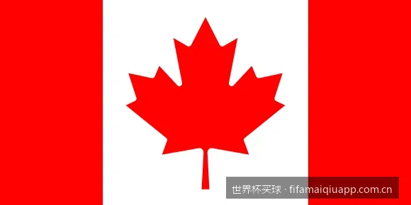 2026美加墨世界杯买球安全指南：如何识别正规与防范钓鱼平台