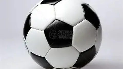 范可新：亚冬会征程，老将精神再燃2025-02-10